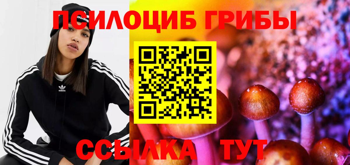 наркошоп  Псилоцибиновые грибы MAGIC MUSHROOMS  Вход с VPN  Малгобек 